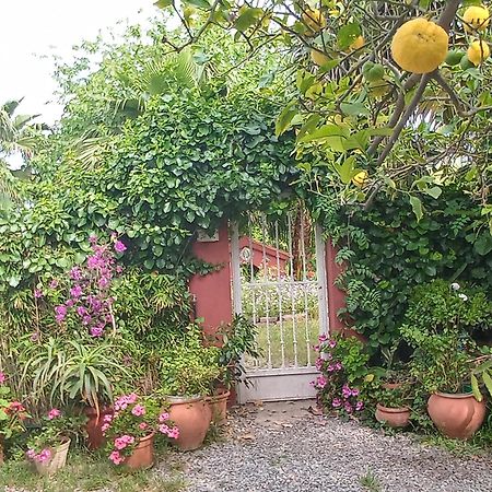 Вілла Casa Con Jardin Frente Playa De Бурріана Номер фото