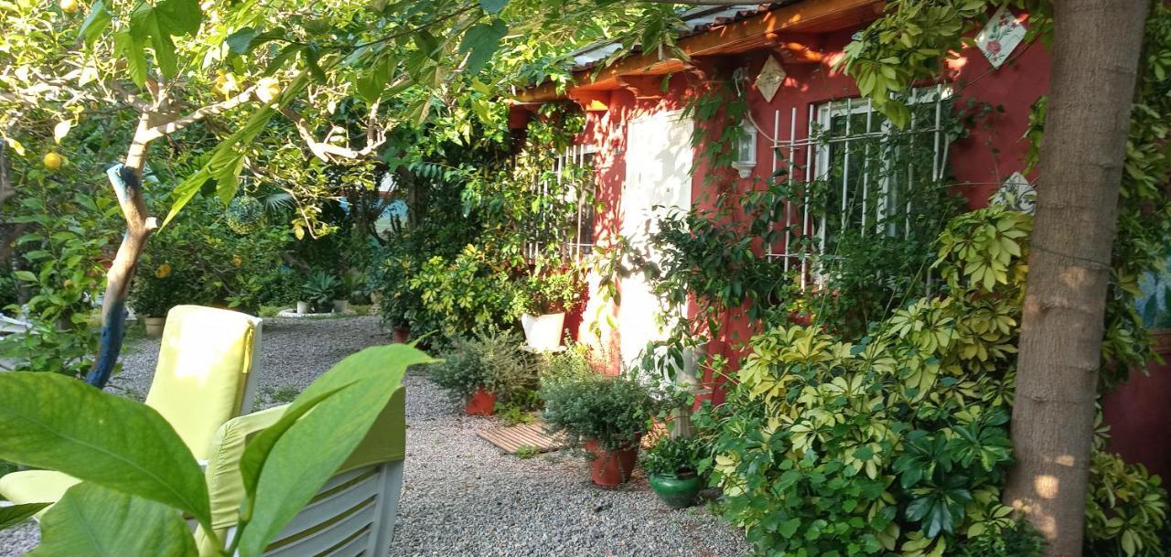 Вілла Casa Con Jardin Frente Playa De Бурріана Екстер'єр фото