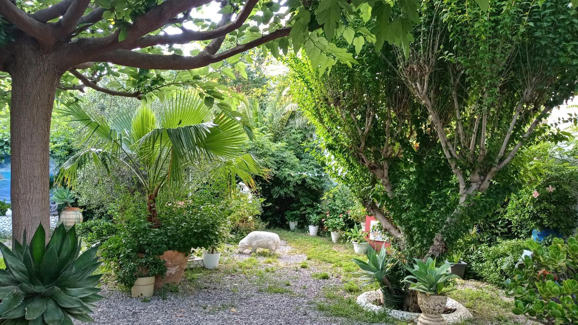 Вілла Casa Con Jardin Frente Playa De Бурріана Номер фото