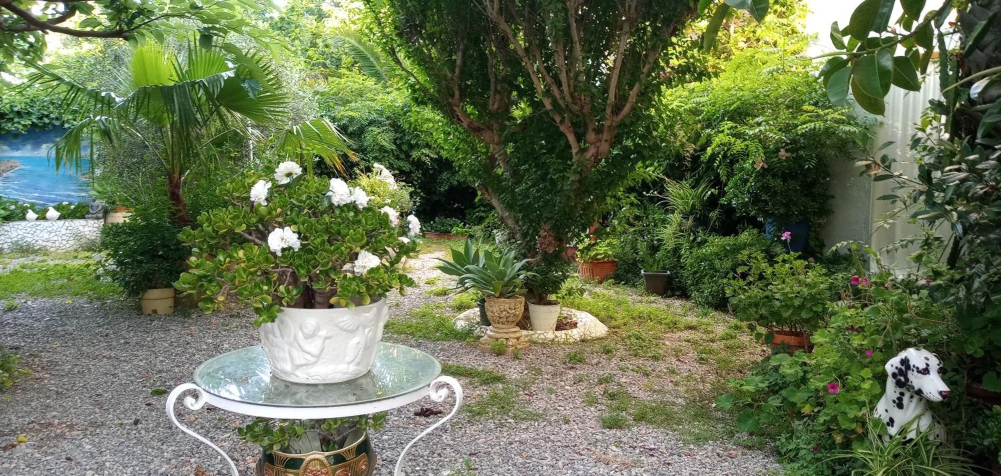 Вілла Casa Con Jardin Frente Playa De Бурріана Номер фото
