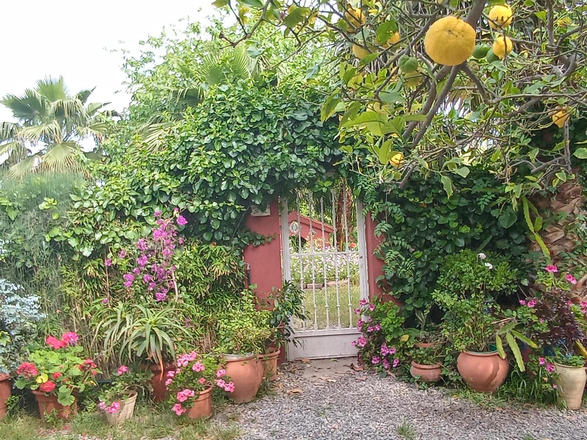Вілла Casa Con Jardin Frente Playa De Бурріана Номер фото