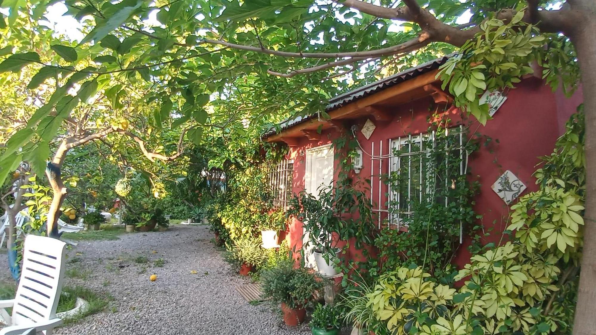Вілла Casa Con Jardin Frente Playa De Бурріана Номер фото